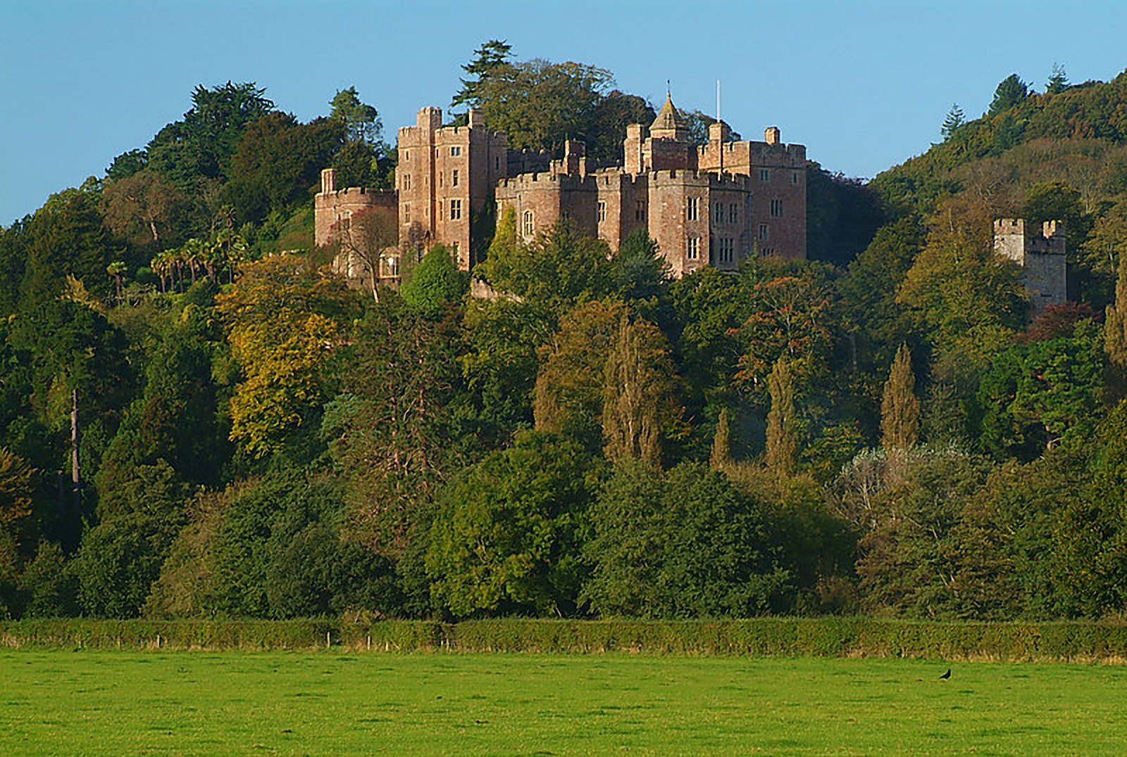 Dunster Castle rising above the village trees